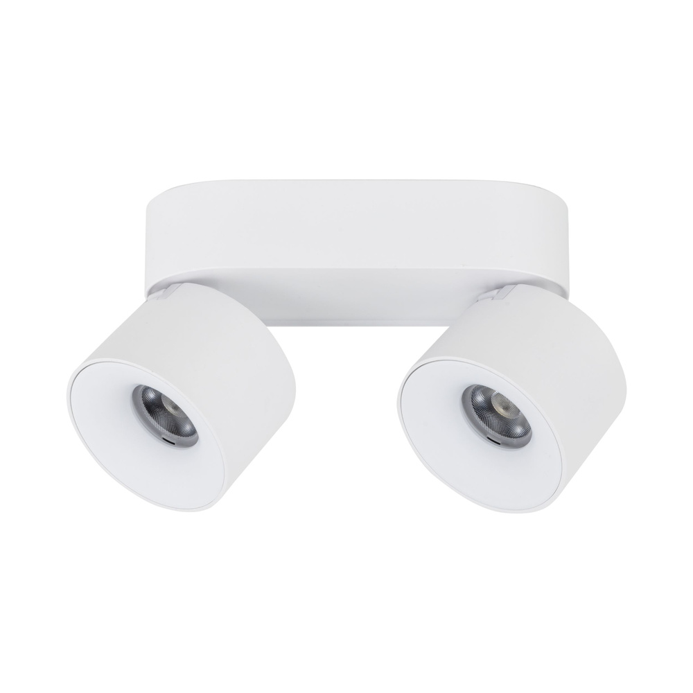 SPARK DUO WHITE CCT 20W