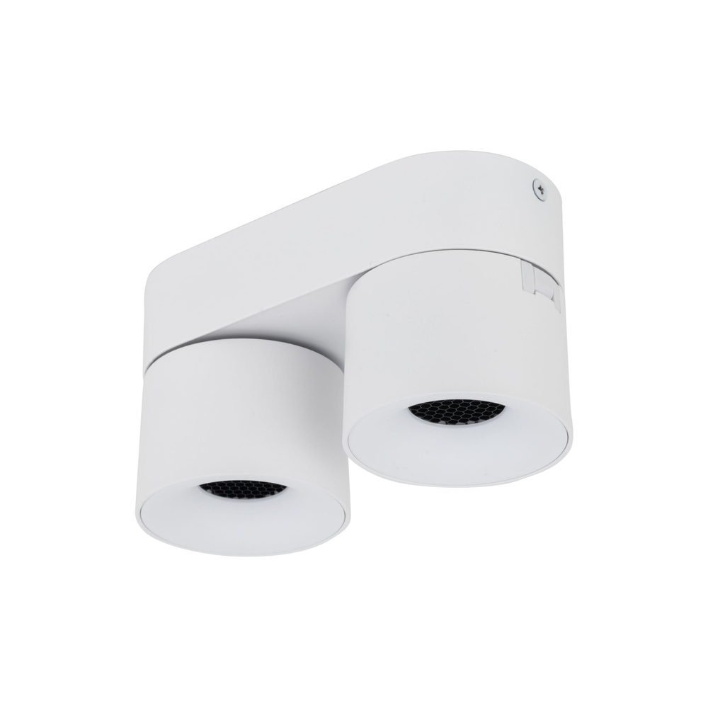 SPARK DUO WHITE CCT 20W