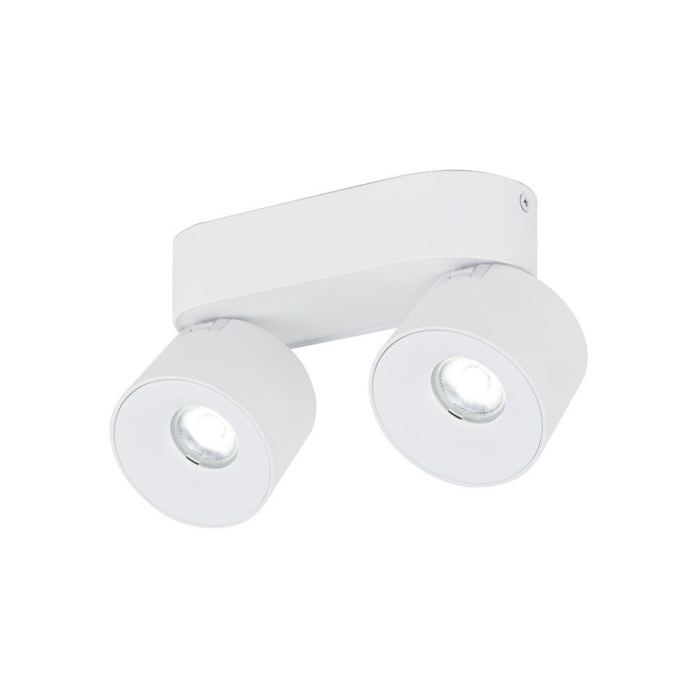 SPARK DUO WHITE CCT 20W