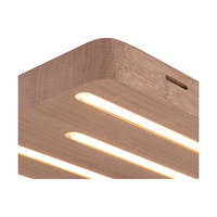 Lampa sufitowa / Kinkiet NEELE drewno dębowe 4057402800000