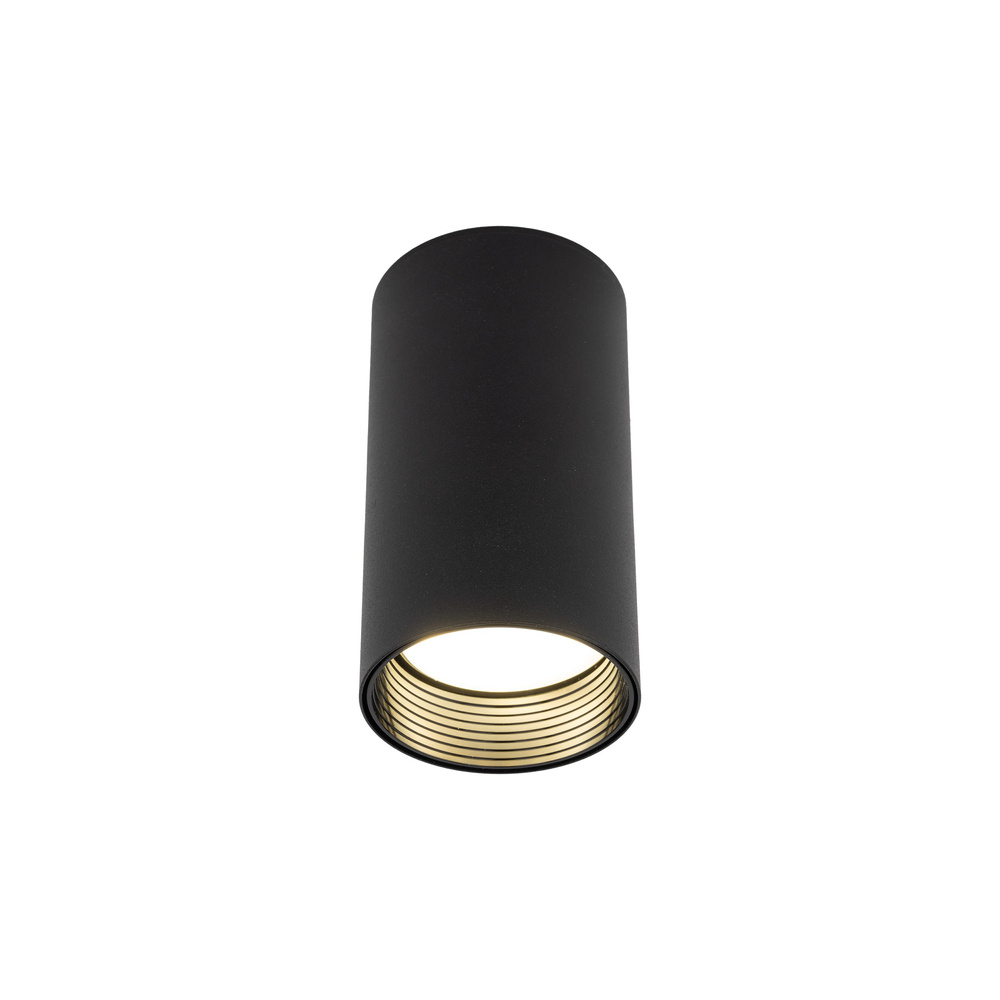 AMIS BLACK DOWNLIGHT