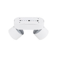 SPARK DUO WHITE CCT 20W