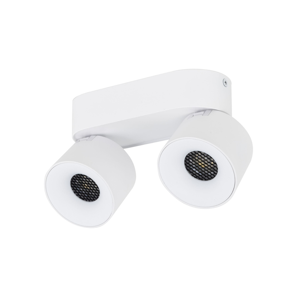 SPARK DUO WHITE CCT 20W