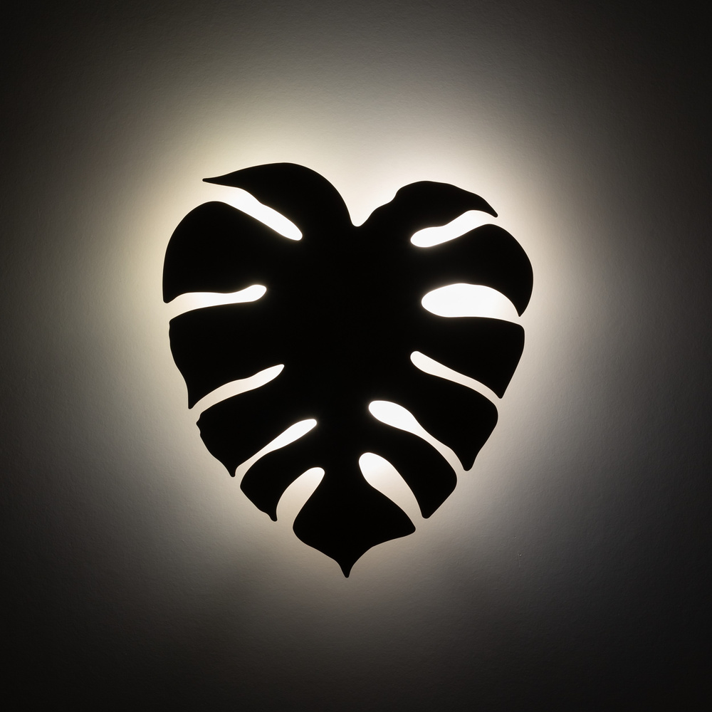 MONSTERA SABIA KINKIET 3