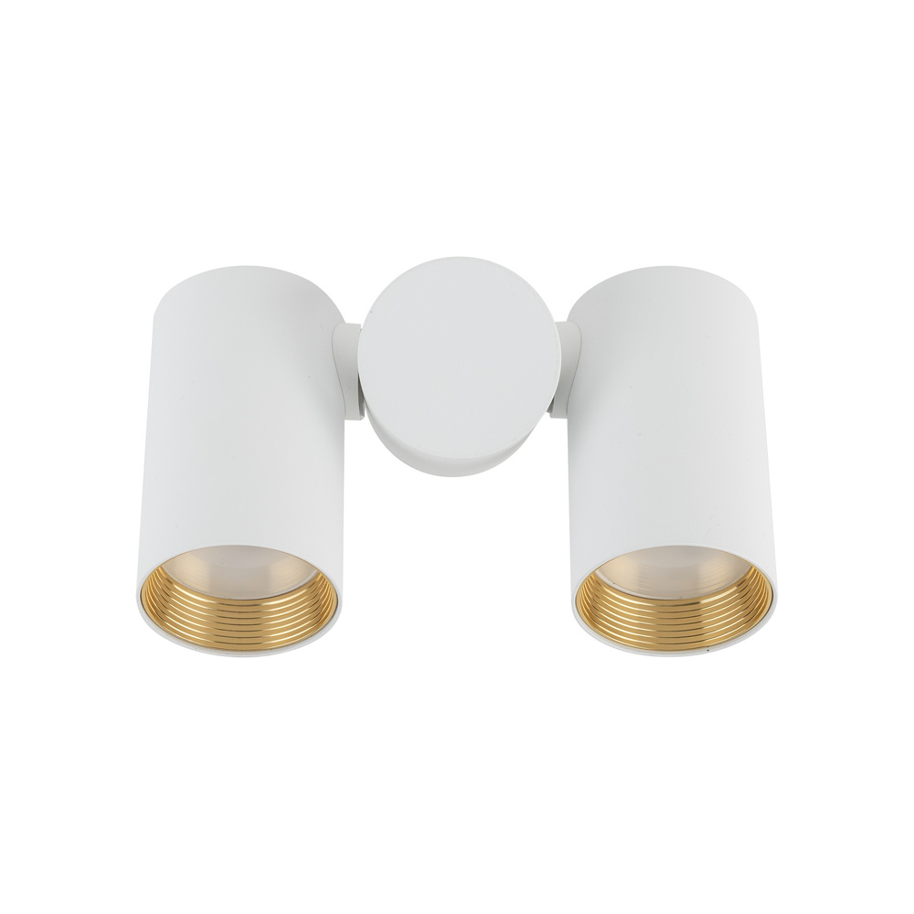 AMIS WHITE DOWNLIGHT 2XGU10