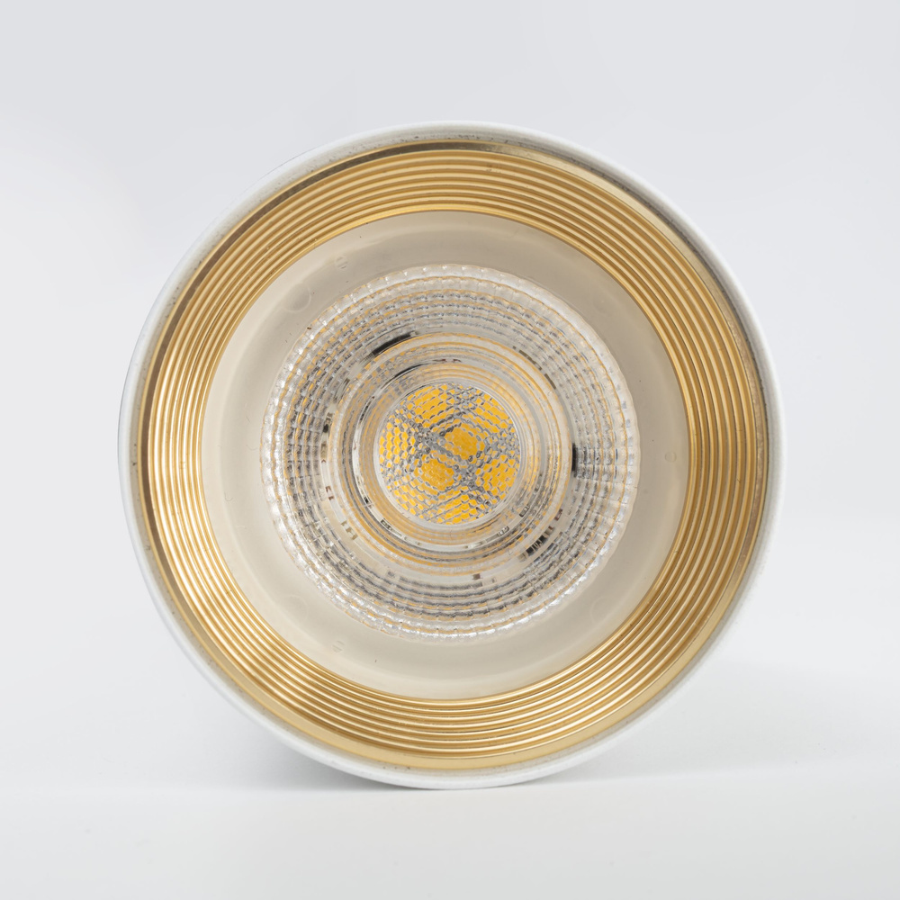 AMIS WHITE DOWNLIGHT