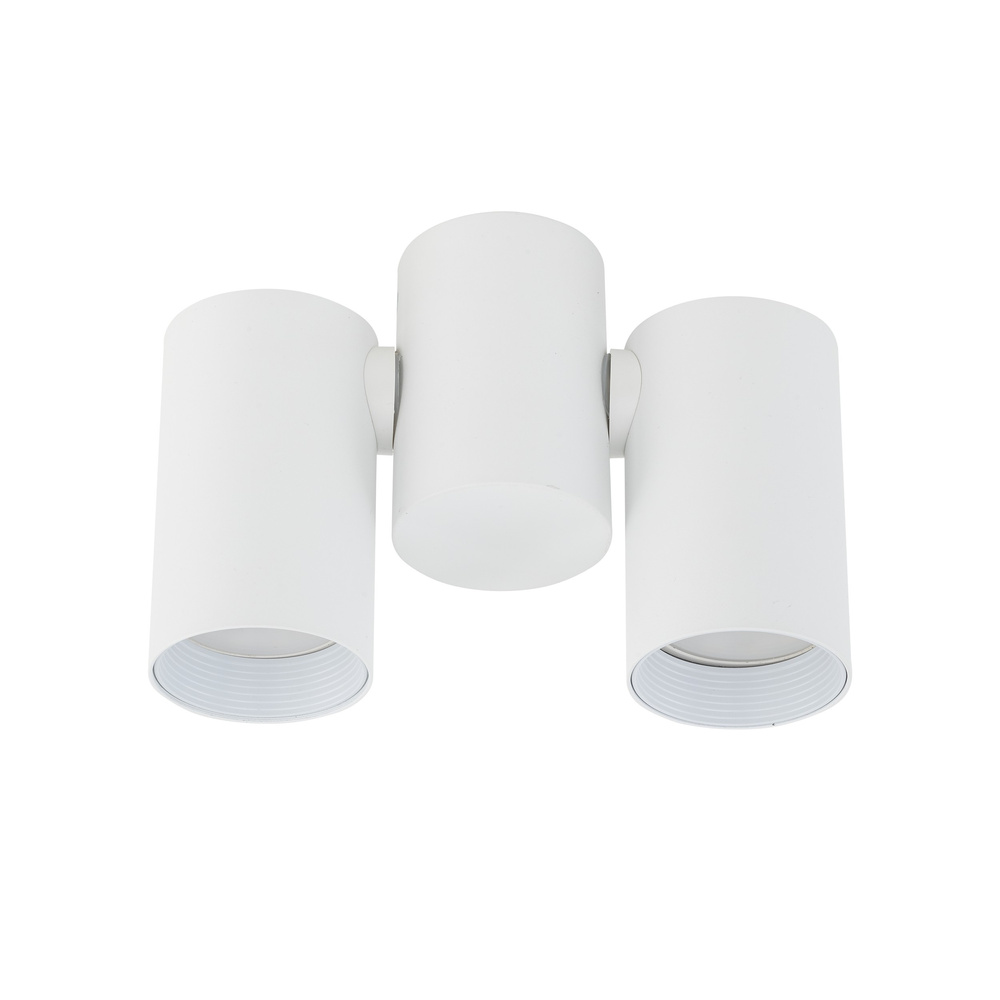 AMIS WHITE DOWNLIGHT 2XGU10