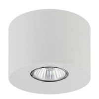 ORION S WHITE LAMPA SUFITOWA 1 PŁ